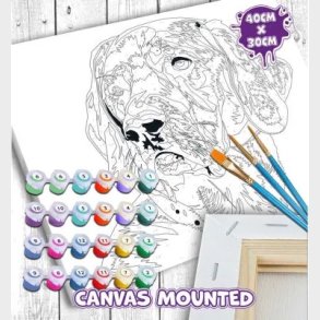 Mal Efter Tal - Lrred - Hund - 40x30 Cm