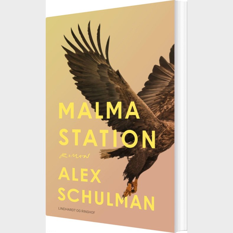 Malma Station - Alex Schulman - Bog
