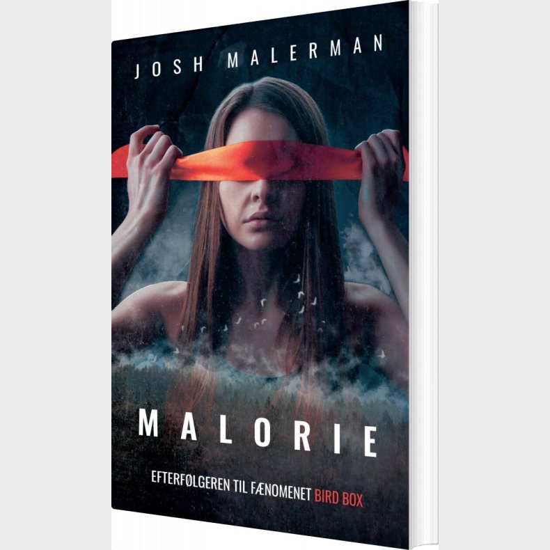 Malorie - Josh Malerman - Bog