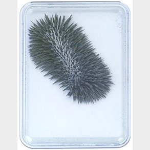 Eduplay | Magnetvindue med jernpulver - Lille