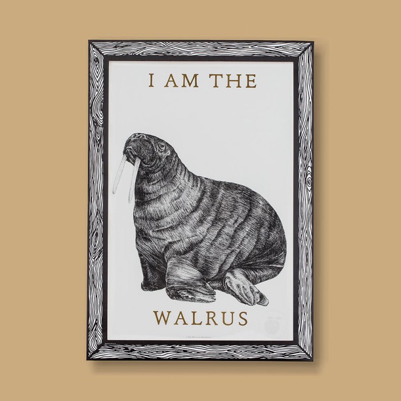Marke Newton - A3 Print - I Am The Walrus