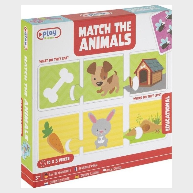 Match Animal - Where To Live / What To Eat