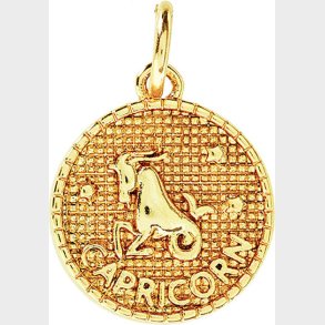 Me & My Box - Vedhng Diy St - Stjernetegn - Stenbukken - Guldbelagt 18 Karat