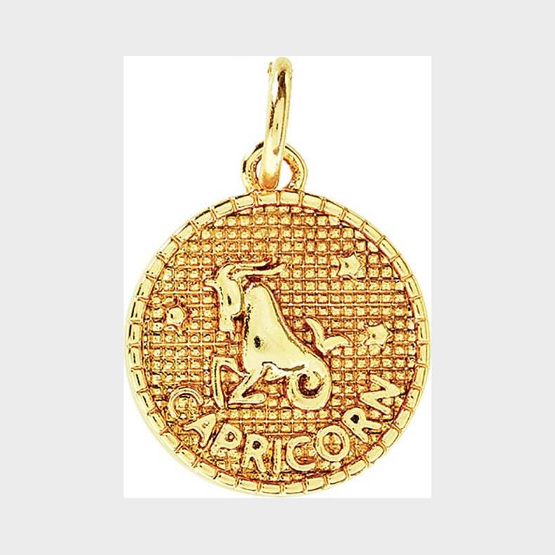 Me & My Box - Vedhng Diy St - Stjernetegn - Stenbukken - Guldbelagt 18 Karat