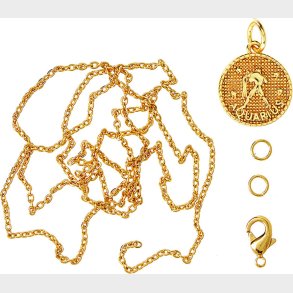 Me & My Box - Vedhng Diy St - Stjernetegn - Vandmanden - Guldbelagt 18 Karat