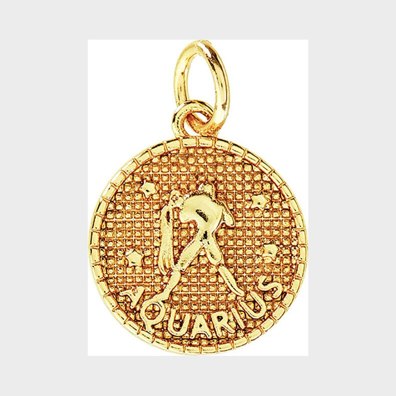 Me & My Box - Vedhng - Stjernetegn - Vandmanden - Guldbelagt 18 Karat