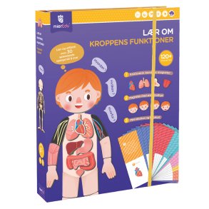 mierEdu | Magnetleg - L�r om kroppens funktioner, 120+ dele