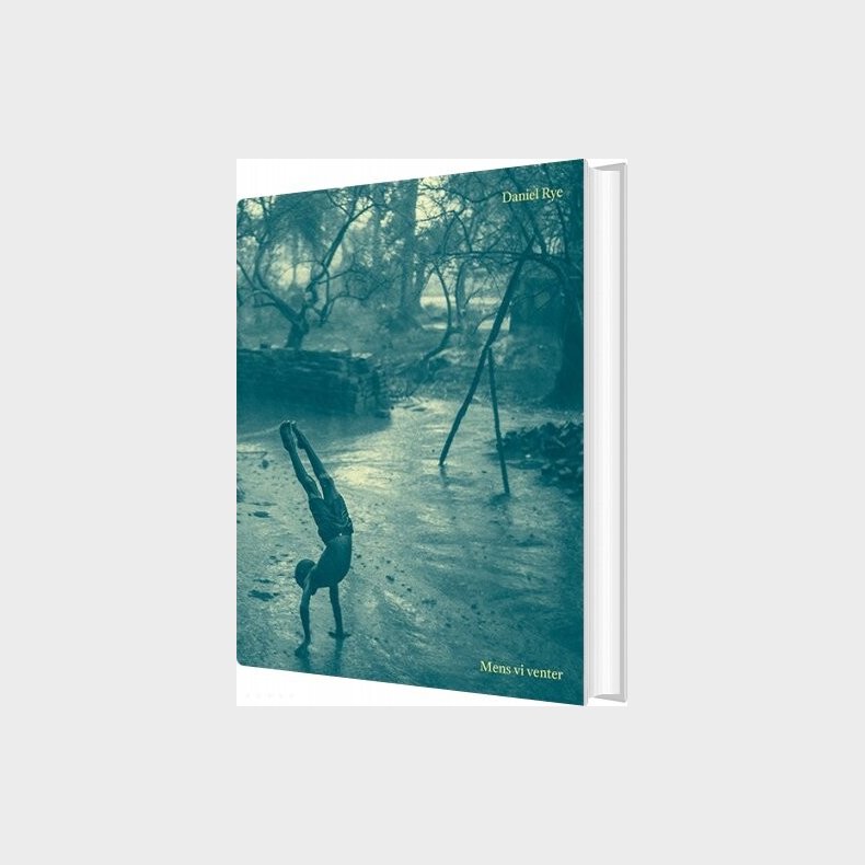 Mens Vi Venter - Daniel Rye - Bog