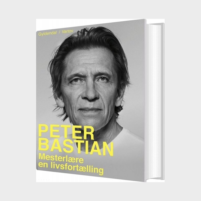 Mesterlre - Peter Bastian - Bog