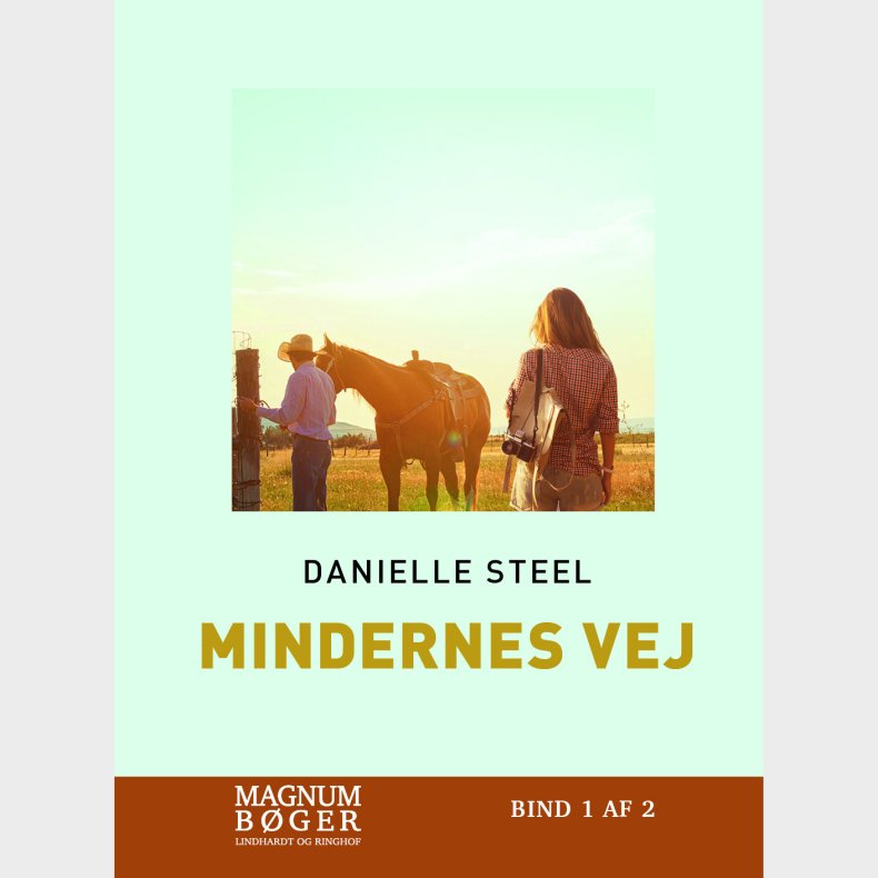 Mindernes Vej - Danielle Steel - Bog