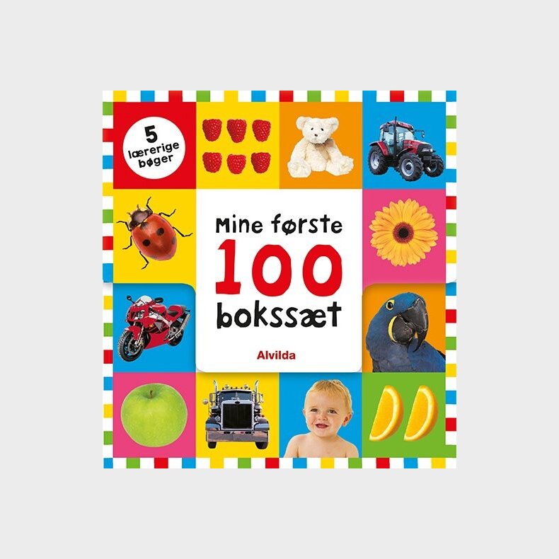 Mine Frste 100 - Boksst - 5 Lrerige Bger - Roger Priddy - Bog