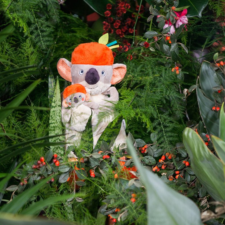 Moulin Roty - Aktivitetstjdyr Med Musikoptrk - Koalaen Koco