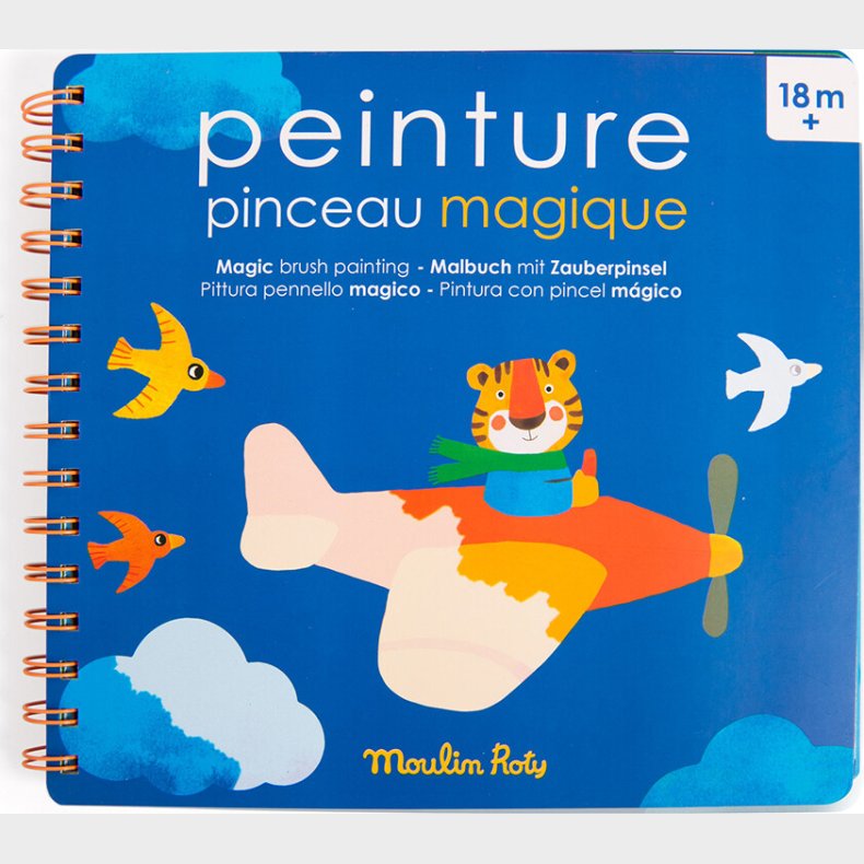 Moulin Roty - Jeg Maler Med Vand - Bog