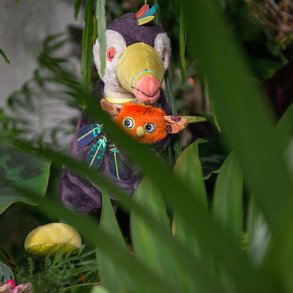 Moulin Roty - Tjdyr Med Musikoptrk - Tukanen Pakou