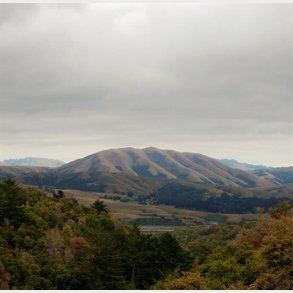 Bjrk - Mount Wittenberg Orca - Vinyl Lp