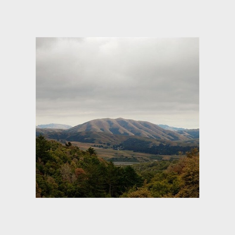 Bjrk - Mount Wittenberg Orca - Vinyl Lp