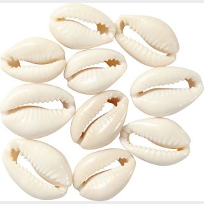 Muslingeskaller - L 20 Mm - Natur - 12 Stk.