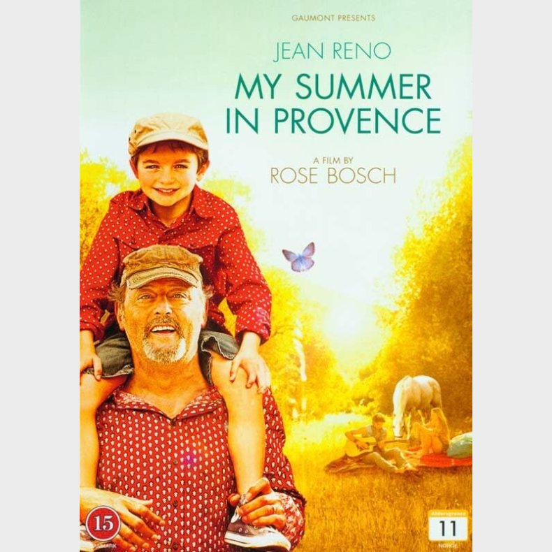My Summer In Provence / Avis De Mistral - DVD - Film