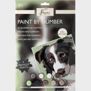 Nassau Fine Art - Paint By Numbers Kit - Ark Og 9 Farver - Hund