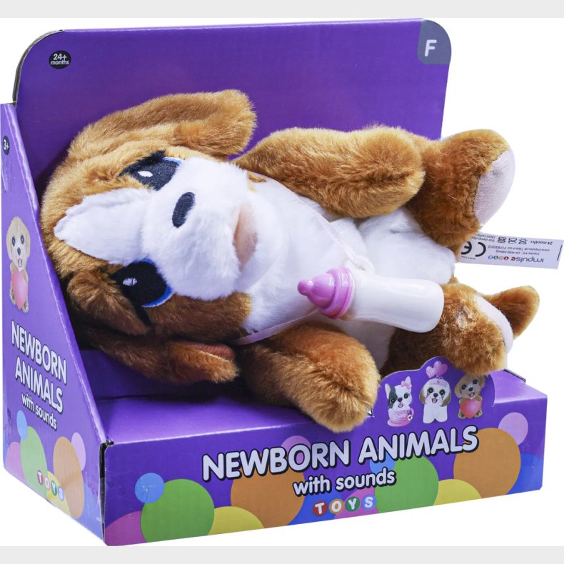 New Born Animals Med Lyd