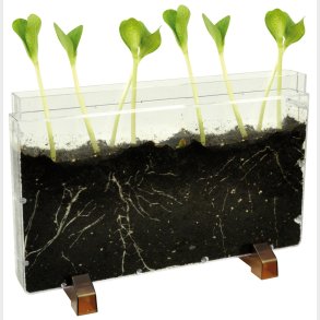 Observationskasse - Orme/Rdder