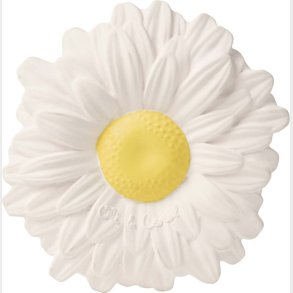 Oli & Carol Bidering - Margarita The Daisy