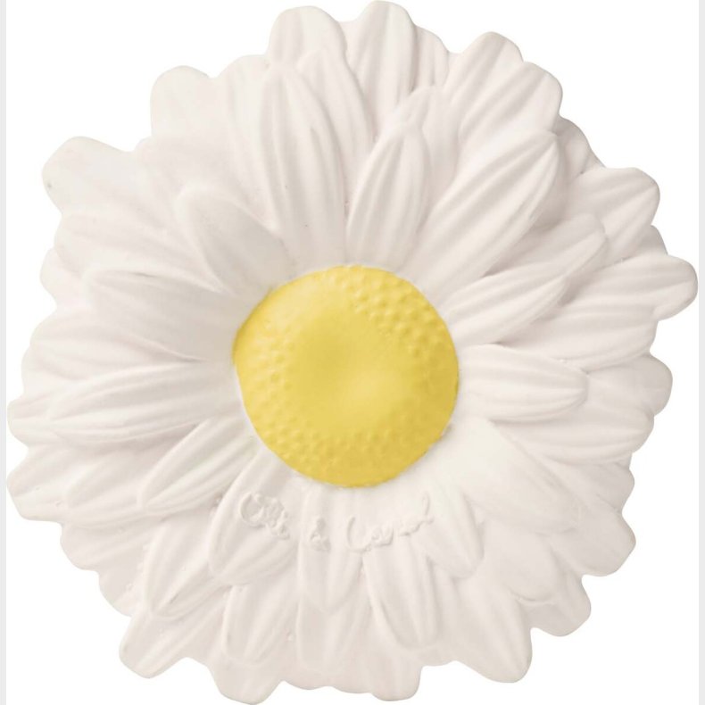 Oli & Carol Bidering - Margarita The Daisy