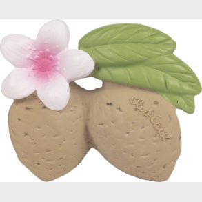 Oli & Carol - Bidering - Aly The Almond