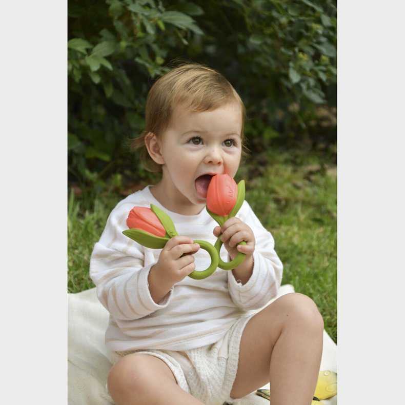 Oli & Carol - Bidering - Theo The Tulip