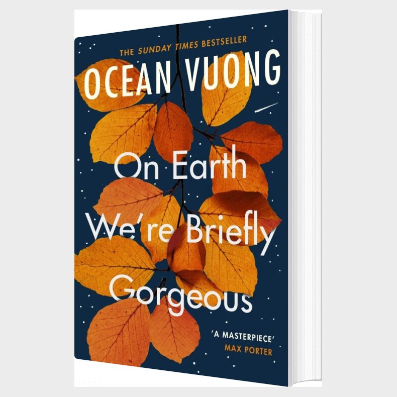 On Earth We're Briefly Gorgeous - Ocean Vuong - English Book