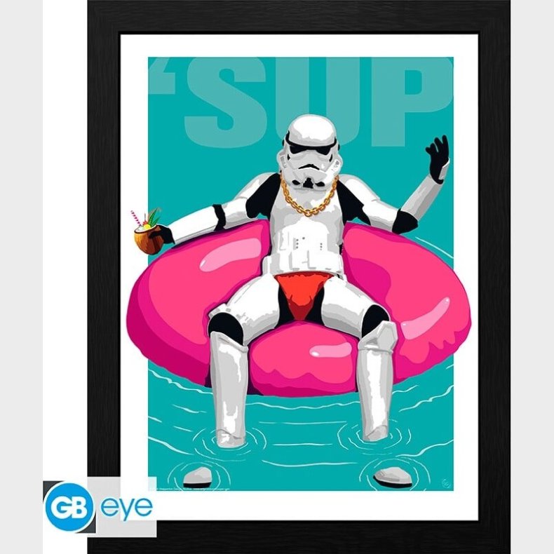 Original Stormtrooper - Framed Print Pool Boy (30x40) X2