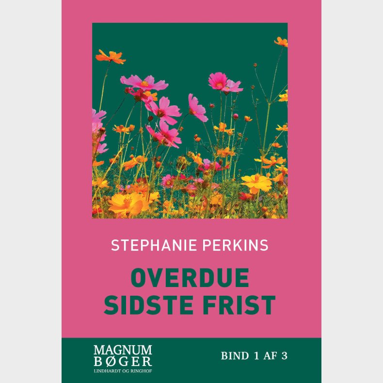 Overdue - Sidste Frist (storskrift) - Stephanie Perkins - Bog
