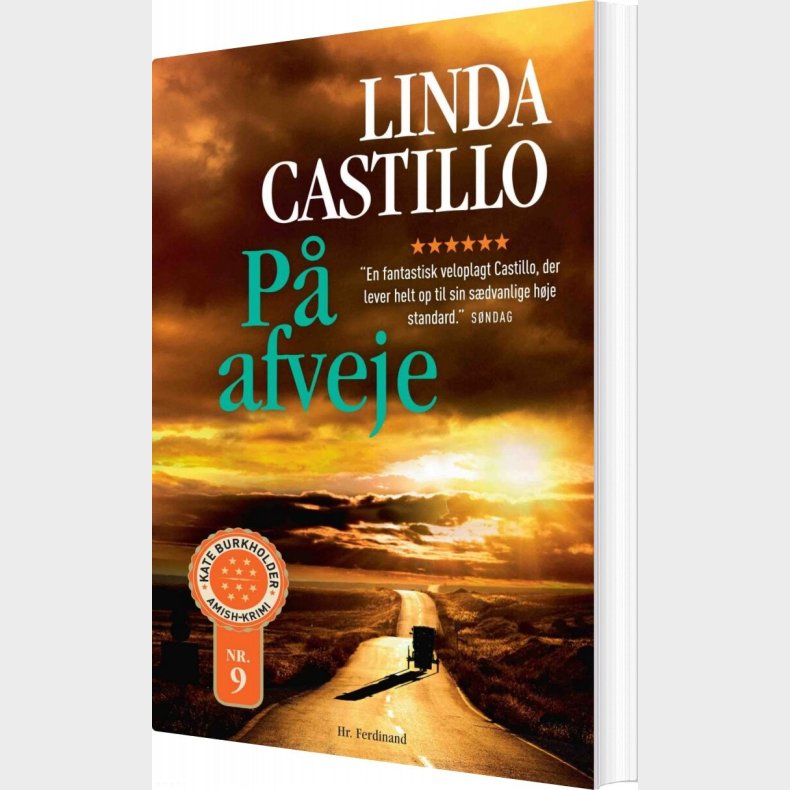 P Afveje - Linda Castillo - Bog