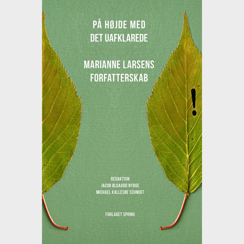 P� H�jde Med Det Uafklarede - Michael Kalles�e Schmidt - Bog