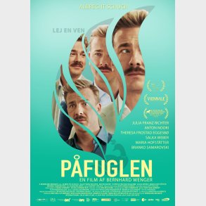 Pfuglen - DVD - Film