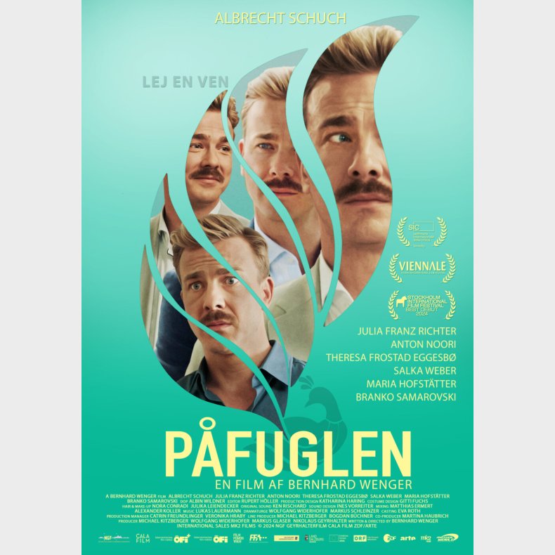 Pfuglen - DVD - Film