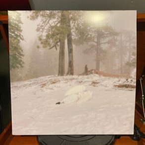 Wisp - Pandora - Vinyl Lp