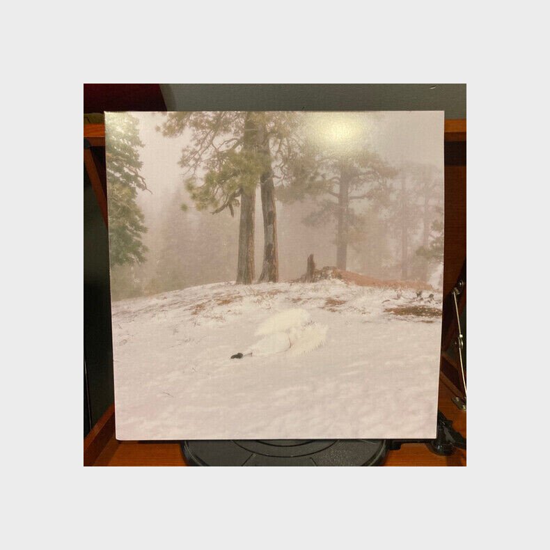 Wisp - Pandora - Vinyl Lp