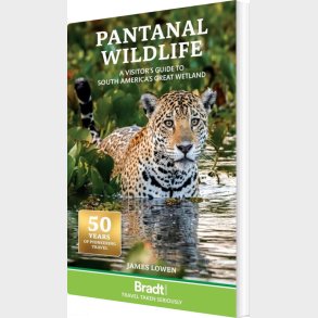 Bradt - Pantanal Wildlife : A Visitors Guide To Brazil's Great Wetland - Lowen James - English Book