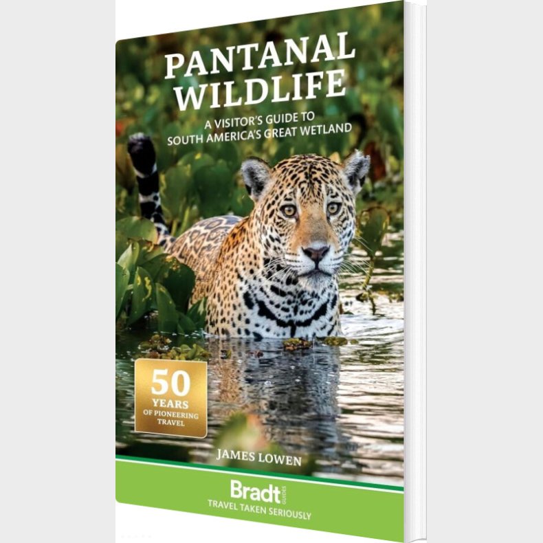 Bradt - Pantanal Wildlife : A Visitors Guide To Brazil's Great Wetland - Lowen James - English Book