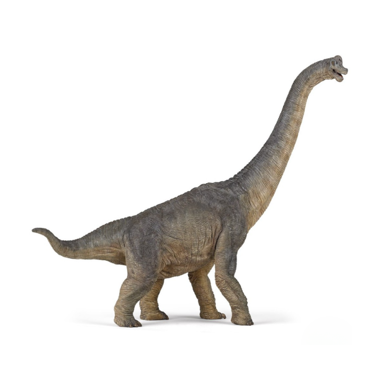 Papo | Brachiosaurus - L: 36 cm