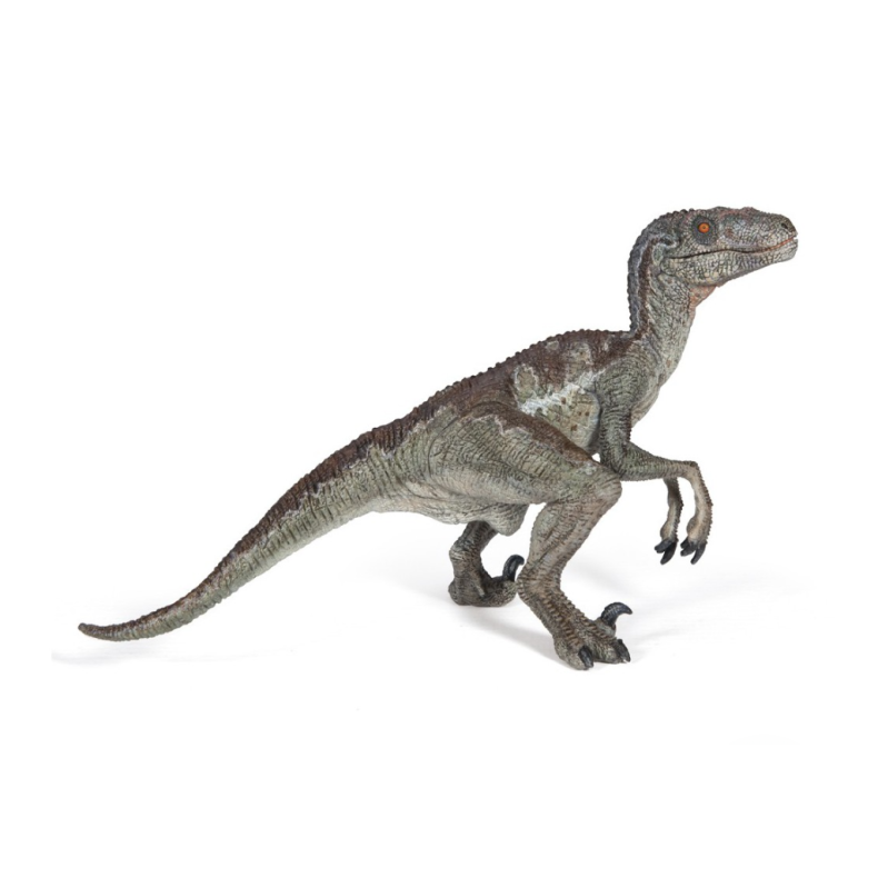 Papo | Velociraptor - L: 9,8 cm