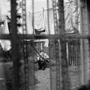 Paul Mccartney - Chaos And Creation In The Backyard - CD