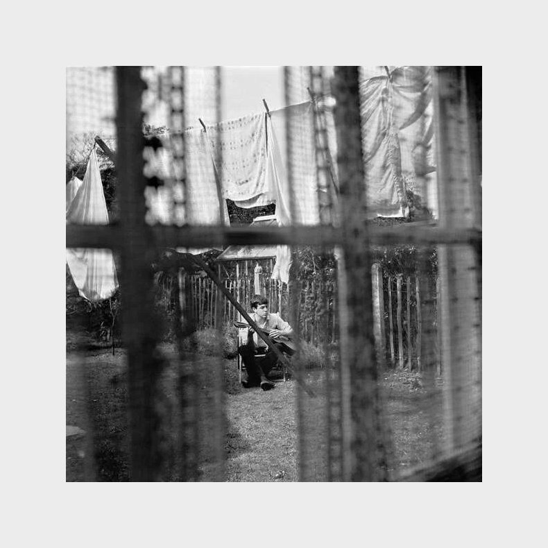 Paul Mccartney - Chaos And Creation In The Backyard - CD