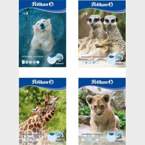 Pelikan Drawing Blocks A3 / 20