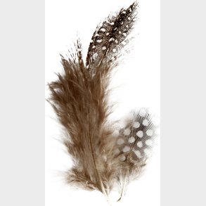 Fjer - Perlehns - 3 G - Brun