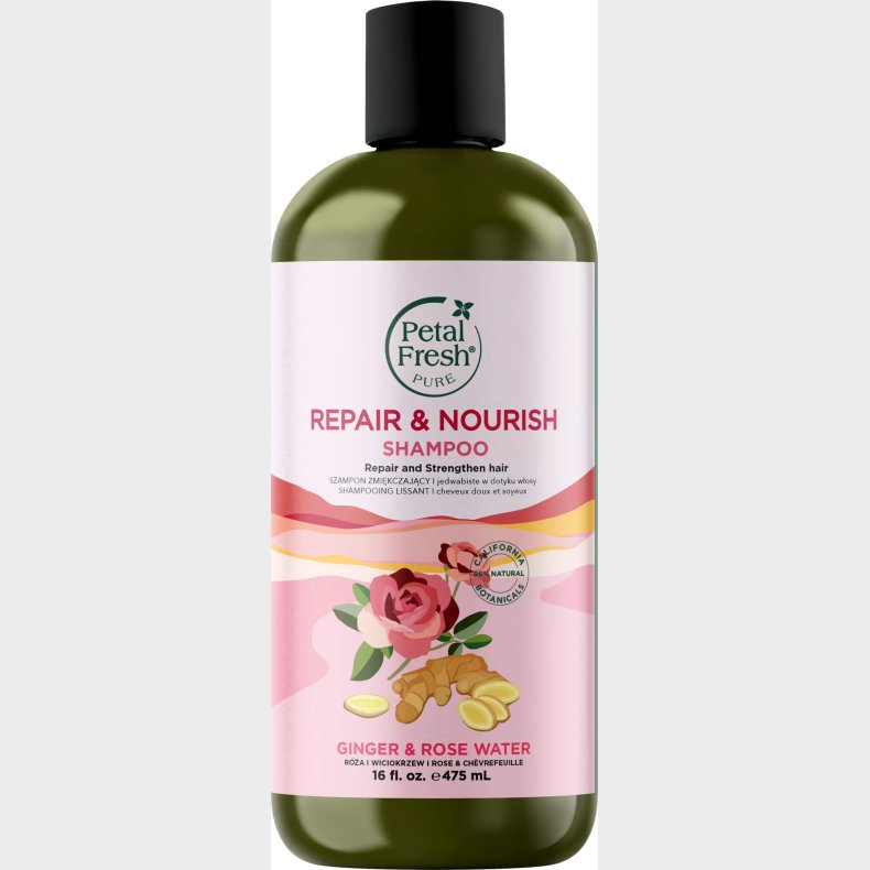 Petal Fresh - Pure Ginger & Rosewater Shampoo
