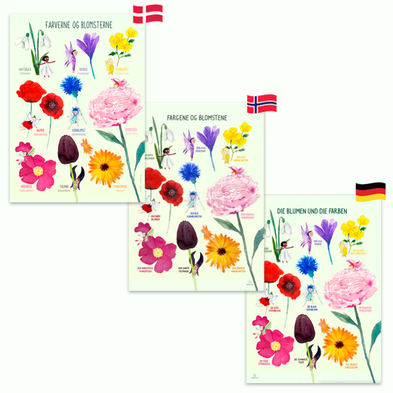 Ciha | Plakat 50 x 70 cm - Farverne og blomsterne