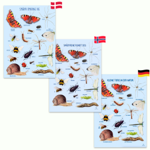 Ciha | Plakat 50 x 70 cm - Smdyr omkring dig