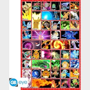 Pok�mon - Pakat - 91,5x61 Cm